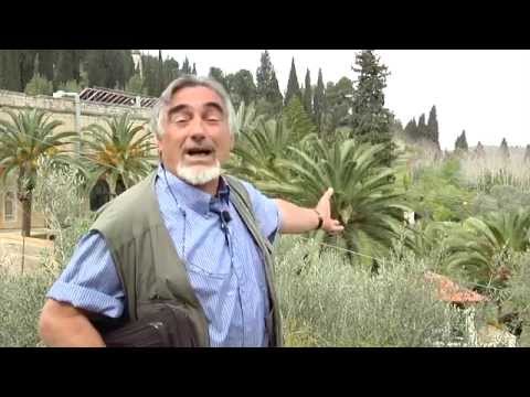 27. God Brings His People into a Good Land - Deuteronomy 8:7-10