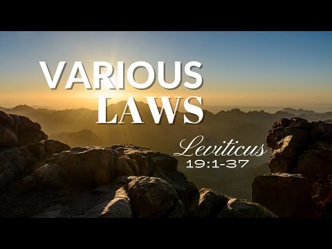 Leviticus 19:1-37 VARIOUS LAWS NIV Female Narration