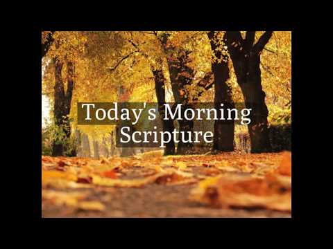 Ecclesiastes 5:10, Morning