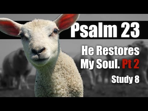 08 Ps 23:3 He restores my soul  Pt 2