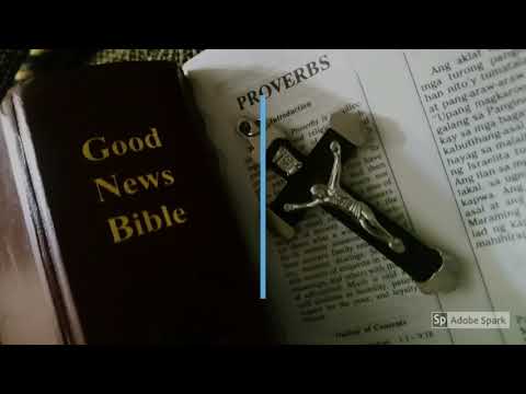 Bible verse (Ecclesiastes 7:23-25)