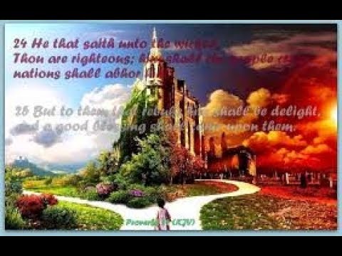 Daily Proverb: The Path of The Wicked (Proverbs 4:14-19)