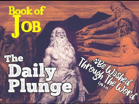 (Job 10:1–9, 16–22) Relentless Accusatory Eye