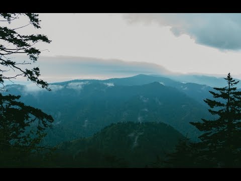 Be Still (Exodus 14:5-14; Psalm 46:1-10; Psalm 37:1-7; Proverbs 3:5-6)