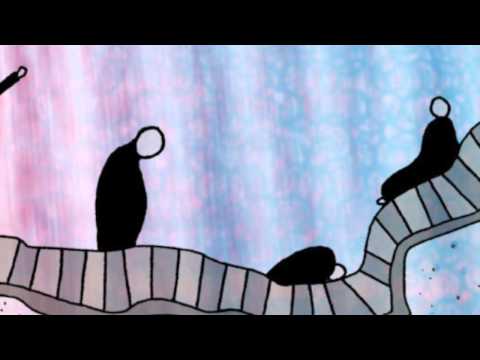 Mark 13:1-8 Commentary by Dr. Tom Boomershine