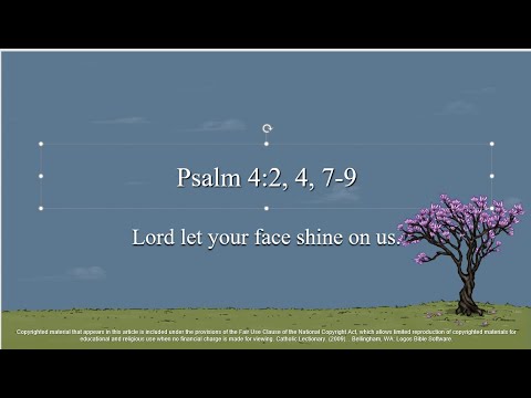 3rd Sunday of Easter – B - Psalm 4:2, 4, 7–9 – Lord let your face shine on us.
