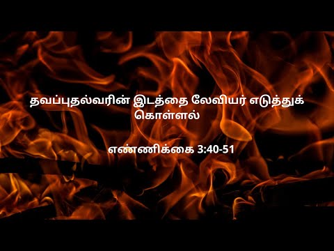எண்ணிக்கை 3:40-51 | Daily Bible RC | Numbers 3:40-51