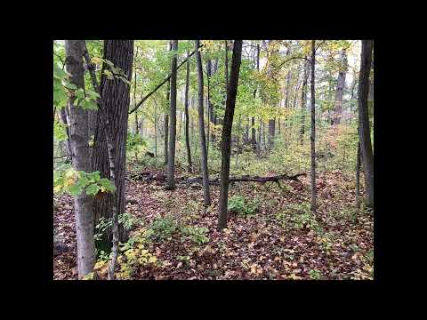 Coffee Break (5 Minutes with God) Psalm 71:21-24