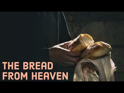 The Bread From Heaven - John 6:22-69