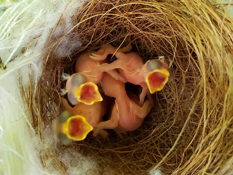 Nothing Too Big or Too Small  (2 Kings 6:1-23)