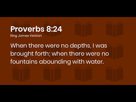 Is Proverbs 8:22-36 speaking about the Son of God? Certainly not.