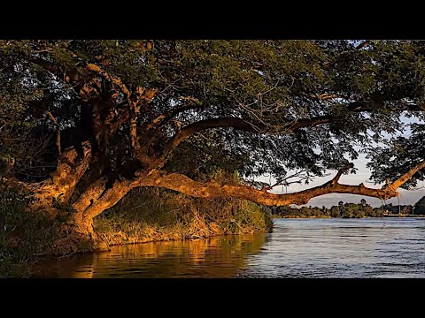 Revelation 22:12-14,16-17,20-21 | Blessed Are Those Who Wash Their Robes | Lectionary bible reading