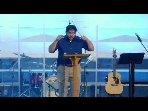 "Fat Cats & Fat Cows." (Amos 3-4:5)