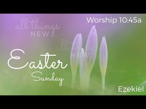 The New Jerusalem (Zechariah 14:8-11)