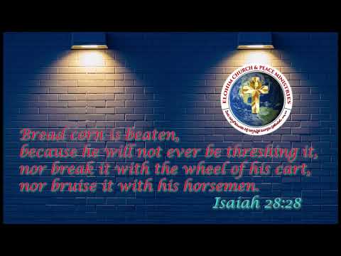 Isaiah 28:28  Today's Bible Devotion