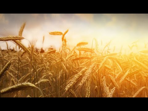 " Judgment on the nations" -Amos 1:6-10(Sep 26)