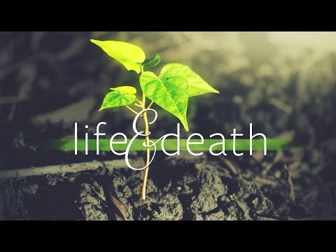 PD's Reflections - Taking a Stand for Life (GPS #13) - August 17, 2022