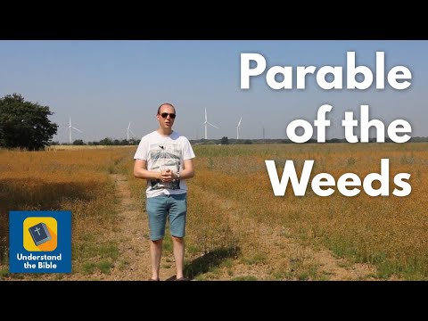 The Parable of the Weeds | Simple / Children's | Matthew 13:24-29, 36-43