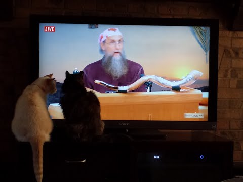 Galatians 5:24-6:3 (So Fulfill the Law of Christ)