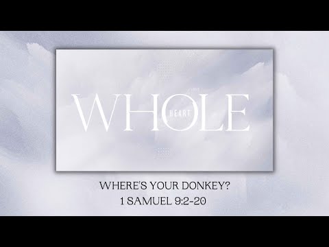 Where's Your Donkey? // 1 Samuel 9:2-10