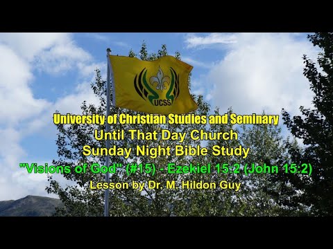 "Visions of God"  (#15)  Ezekiel 15:2 (John 15:2)