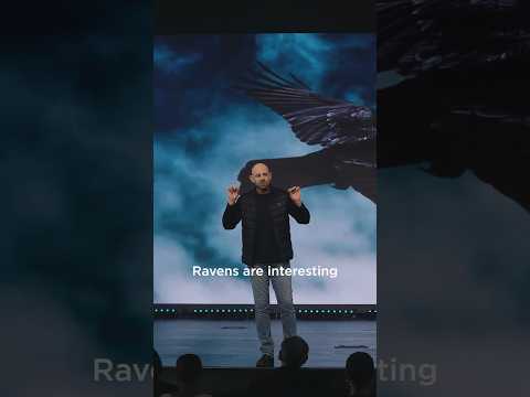 Full Sermon: What Did the Dove See?