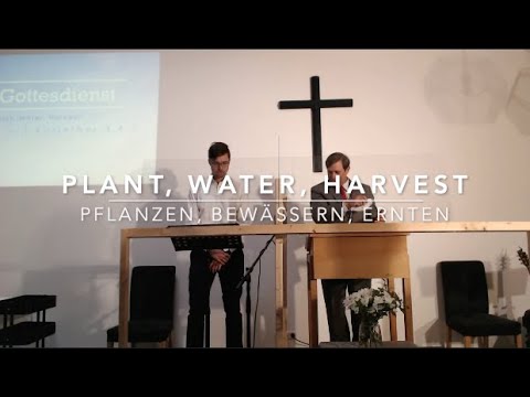 1 Corinthians 3:4-8 | Plant, Water, Harvest