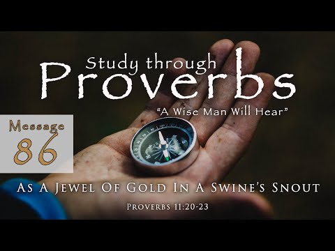 As A Jewel Of Gold In A Swine's Snout: Proverbs 11:20-23