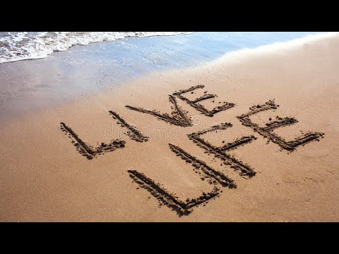 Daily Devotional (Romans 12:4-5)