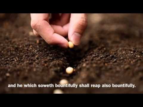 Scripture Memory 365 Day 9/6 2 Corinthians 9:6