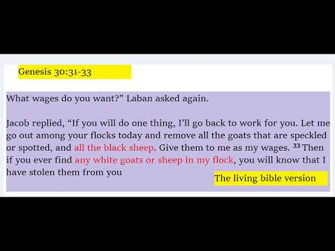 Genesis 30:31-33 | Jacob flocks vs Laban Flocks | Jacob's sheep | PART 2