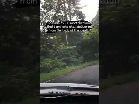 Psalm 94:16-17 Who will rise up for me against the evildoers? or who will stand up for me ...