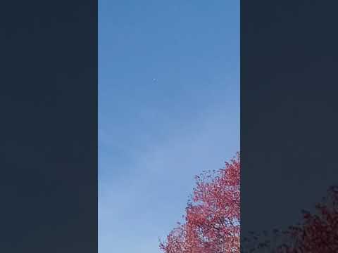 Father emphasizing no Christmas this year in a powerful way!!! Jeremiah 10:1-3 Malachi 3:1