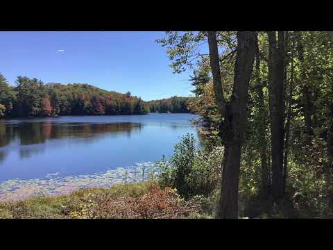 Coffee Break   (5 Minutes with God) Psalm 119:95-98