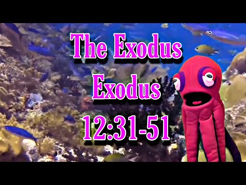 The Exodus - Exodus 12:31-51