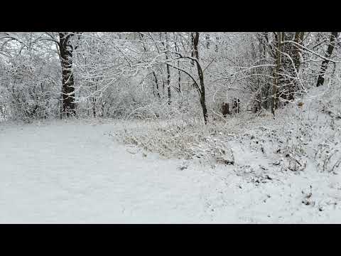 Coffee Break   (5 Minutes with God) Psalm 142:4-143:1