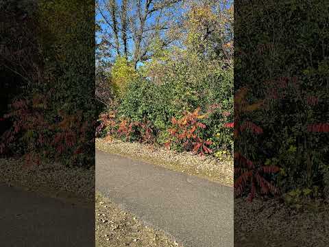 995. Coffee Break (express) Philippians 4:21