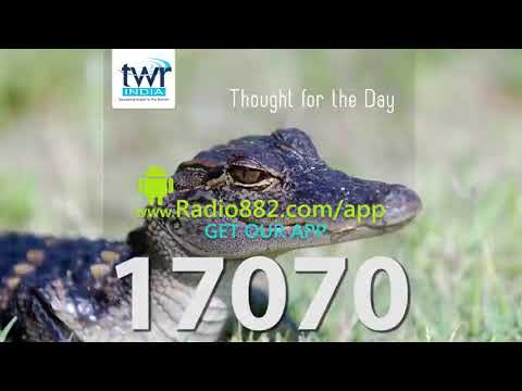 Proverbs 20:1 Proverbs 16:32 Proverbs 23:20,21 29-35 Proverbs 25:28 Ephesians 5:18 Romans 13:13,14