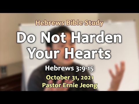Do Not Harden Your Hearts ~ Hebrews 3:9-15 ~ Bible Study