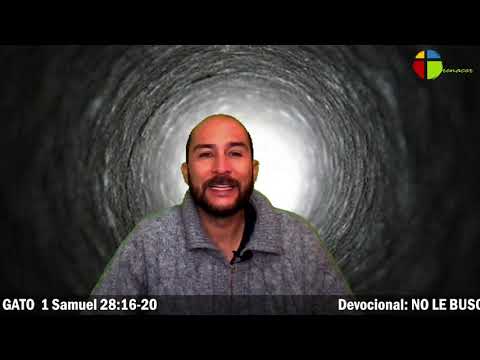 Devocional: NO LE BUSQUES TRES PIES AL GATO  1 Samuel 28:16-20