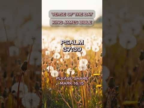 VERSE OF THE DAY - Psalm 37:39 #DailyScripture #BibleVerse #ChristianShorts #ScriptureOfTheDay