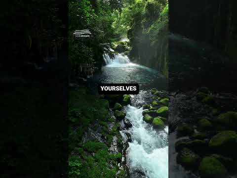 This Bible Verse Could Change Your Entire Day! ????????????????