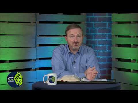 Galatians - Part 66 - The Works of the Flesh are Obvious (Galatians 5:20-21)