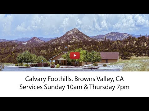 Matthew 21:18-32 "A Curse from Christ"