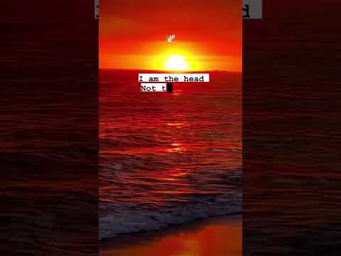 #????newHope Deuteronomy 28:13-14✨????????