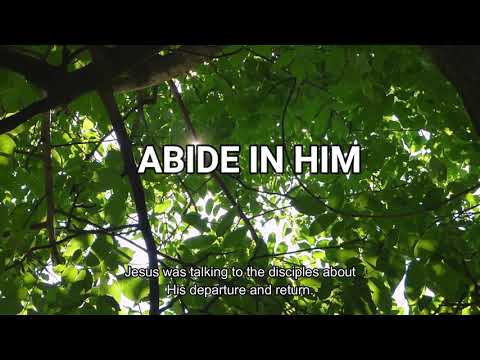 Abide in Him  (John 15:4-7) Mission Blessings