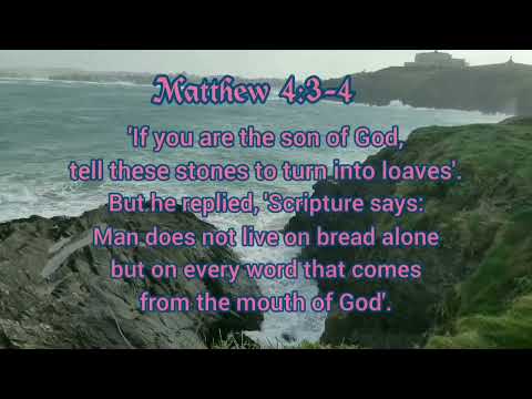 The Holy Bible - (Matthew 4:3-4)