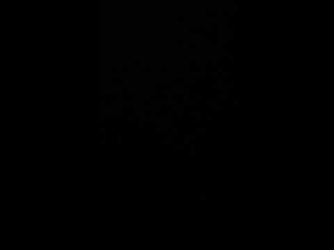 The Covenant of the Careful part two The Peculiar are Prudent (Nehemiah 10:28-30)