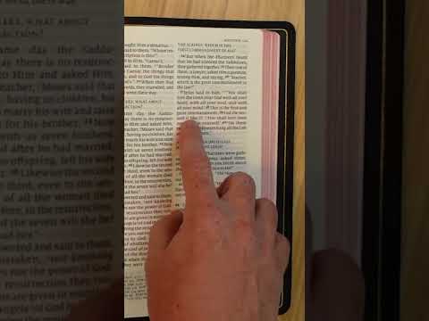 Matthew 22:37-39 • Bible Verse of the Day