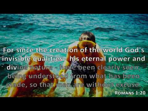 Romans 1:20, Holy Bible, NIV
